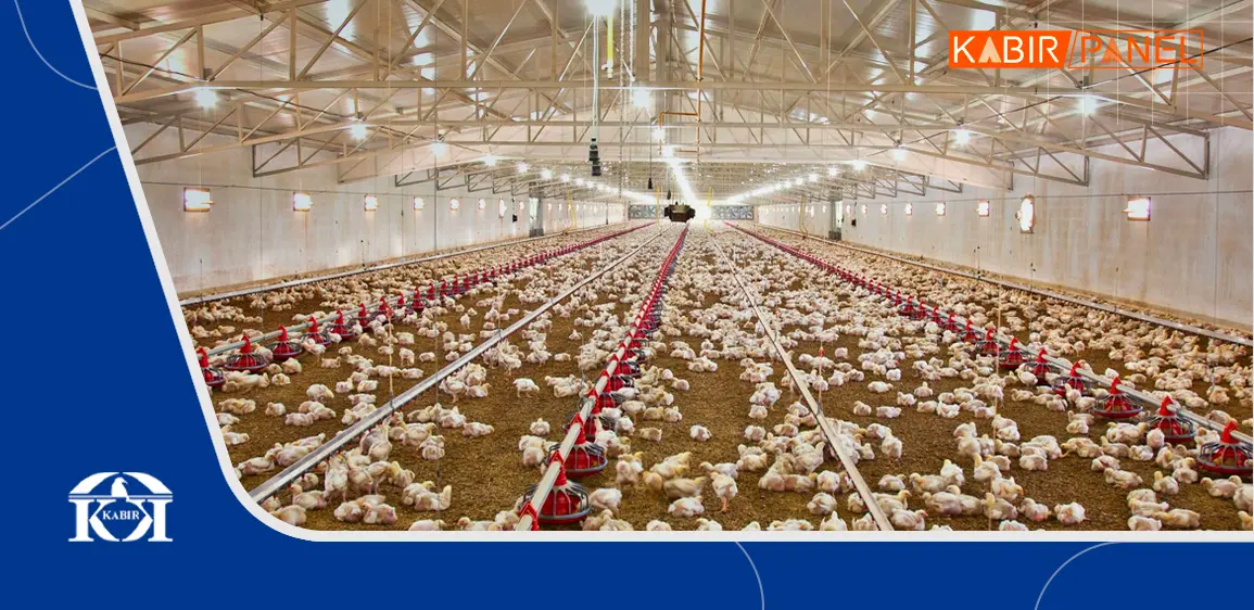 ساخت سوله مرغداری