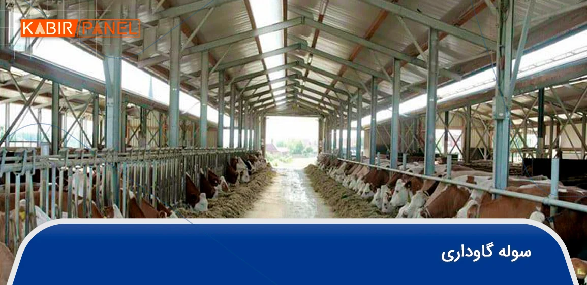 ساخت سوله گاوداری
